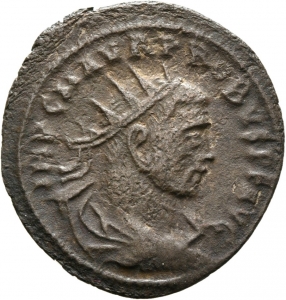 Probus
